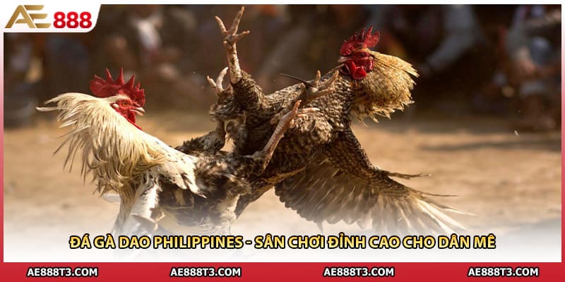 Đá Gà Dao Philippines - Sân Chơi Đỉnh Cao Cho Dân Mê